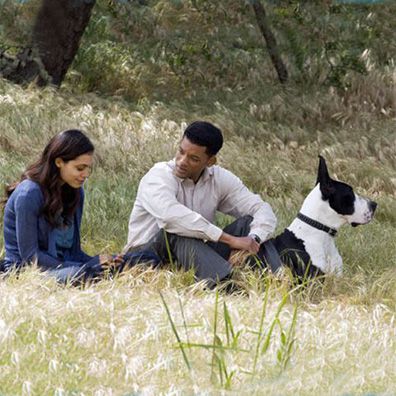 Duke; famous dog in movie, Seven Pounds