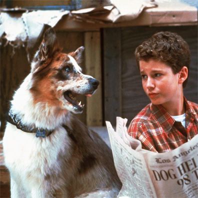 Eddie McDowd; famous dog in TV, 100 Deeds for Eddie McDowd