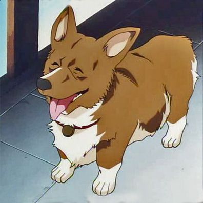 Ein; famous dog in TV, Cowboy Bebop