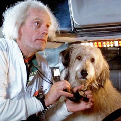 Einstein; famous dog in movie, Back to the Future