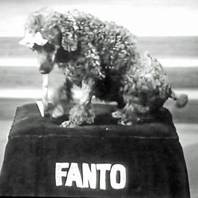 Fanto; famous dog in movie, It All Came True