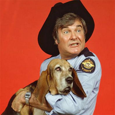 Flash; famous dog in TV, The Dukes of Hazzard