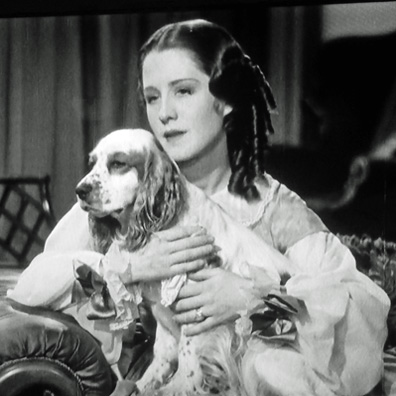Flush; famous dog in movie, book, The Barretts of Wimpole Street