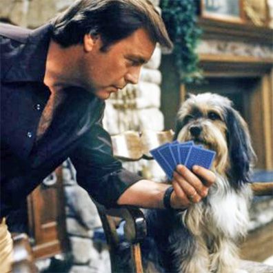 Freeway; famous dog in TV, Hart to Hart