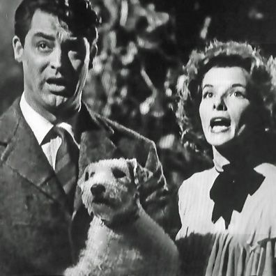 George; famous dog in movie, Bringing Up Baby