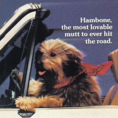 Hambone; famous dog in movie, Hambone and Hillie