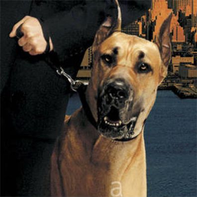 famous dog Hamlet