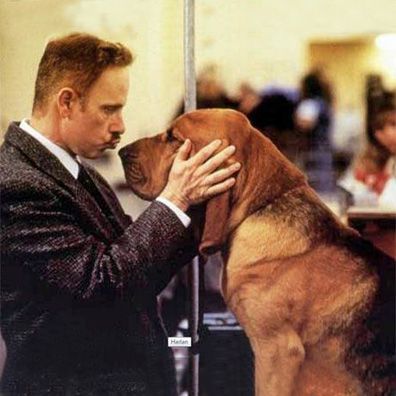 Hubert; famous dog in movie, Best in Show