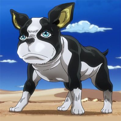 Iggy; famous dog in comics, JoJo's Bizarre Adventure