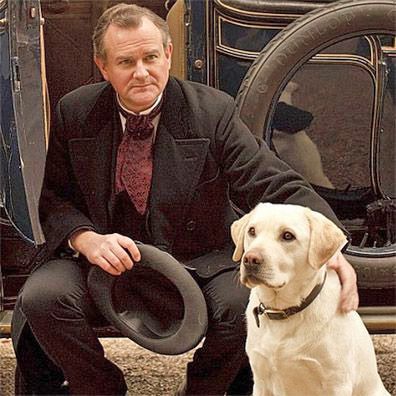 Isis; famous dog in TV, Downton Abbey
