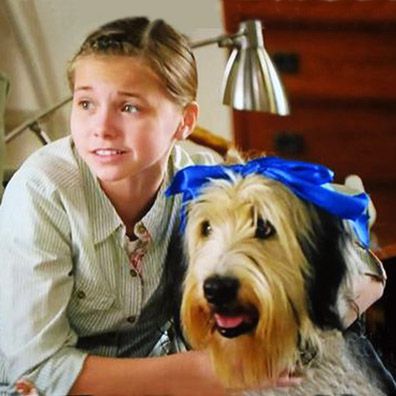 Jake; famous dog in movie, Puppy Love