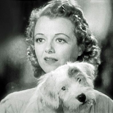 Jane; famous dog in movie, The Young in Heart