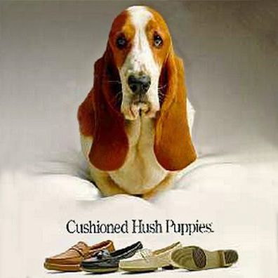Jason; famous dog in ads, Hush Puppies