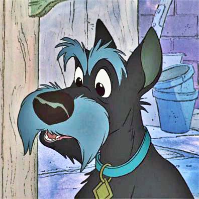 Jock; famous dog in movie, Lady and the Tramp