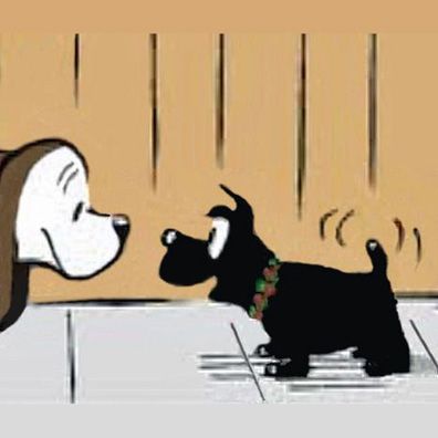 Jock; famous dog in comics, Fred Bassett