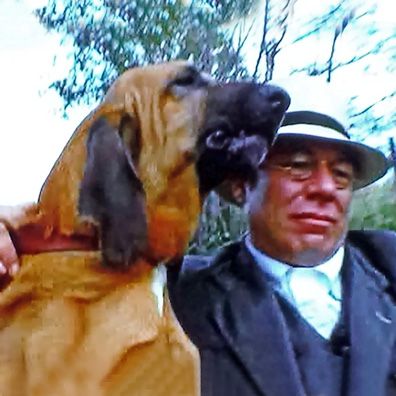 Joey; famous dog in movie, Fool's Parade