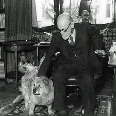 Jo-Fi; famous dog in Sigmund Freud