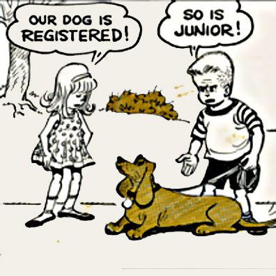 Junior; famous dog in comics, Muggs and Skeeter