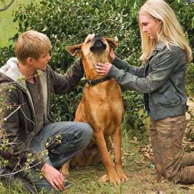 Junkyard; famous dog in movie, Race to Witch Mountain