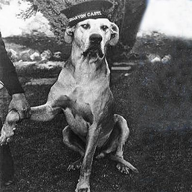 Just Nuisance; famous dog in Royal Navy