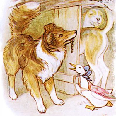 Kep; famous dog in book, The Tale of Jemima Puddle-Duck