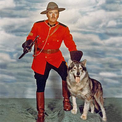 King; famous dog in TV, comics, Challenge of The Yukon