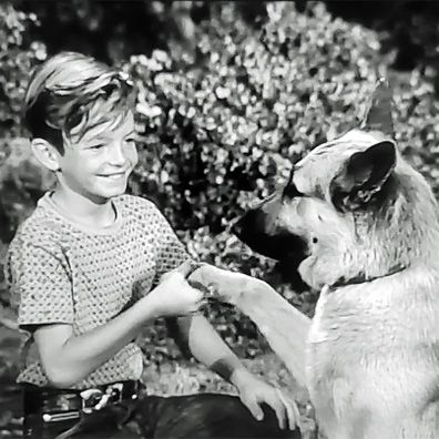 King; famous dog in movie, A Dog's Best Friend