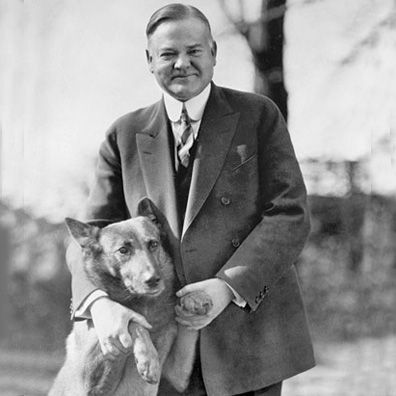 King Tut; famous dog in President Herbert Hoover