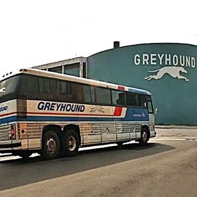 Lady Geryhound; famous dog in ads, Greyhound Lines