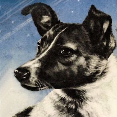 Laika; famous dog in first dog in space