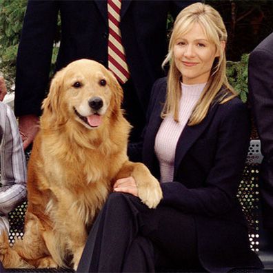 Levi; famous dog in TV, Sue Thomas: F.B.Eye