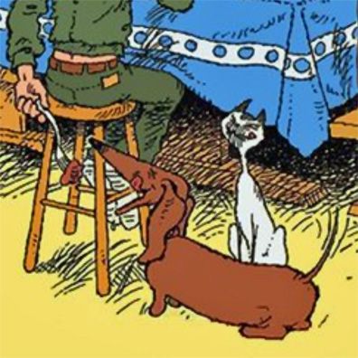Lotje; famous dog in comics, Jack, Jacky and the Juniors