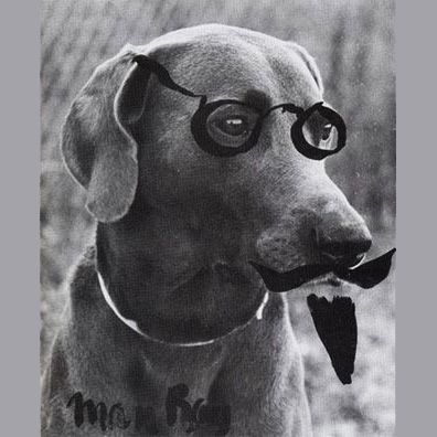 Man Ray; famous dog in William Wegman