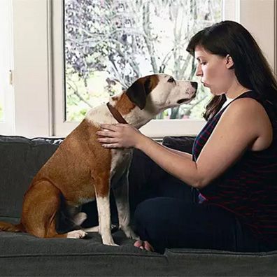 Martin; famous dog in TV, Downward Dog