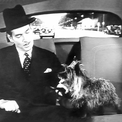 McTavish; famous dog in movie, book, The Kennel Murder Case