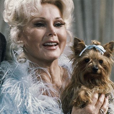 Mignon; famous dog in TV, Green Acres