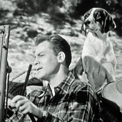 Mike; famous dog in movie, Bait