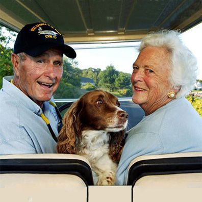 Millie; famous dog in First Lady Barbara Bush