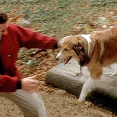 Mogley; famous dog in movie, Dog Park