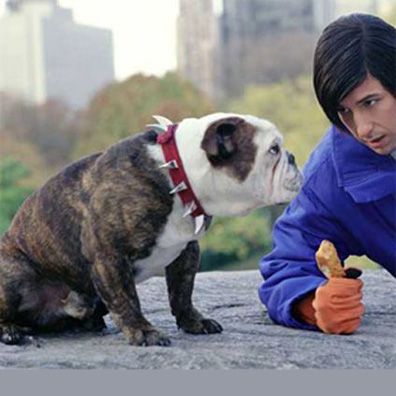 Mr. Beefy; famous dog in movie, Little Nicky