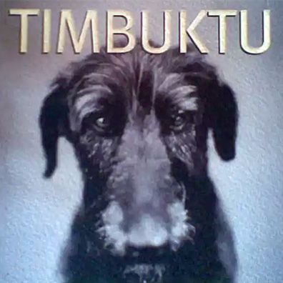 Mr. Bones; famous dog in book, Timbuktu