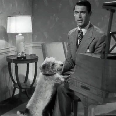 Mr. Smith; famous dog in movie, The Awful Truth