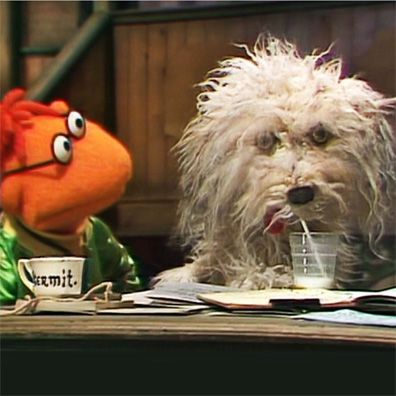 Muppy; famous dog in TV, The Muppet Show