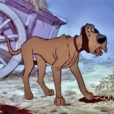 Napoleon; famous dog in movie, The Aristocats