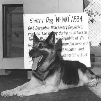 Nemo; famous dog in hero war dog in vietnam