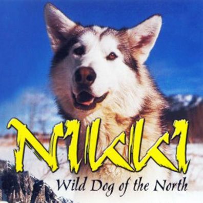 Nikki; famous dog in movie, Nikki Wild Dog of the North