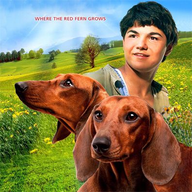 Old Dan; famous dog in movie, book, Where the Red Fern Grows