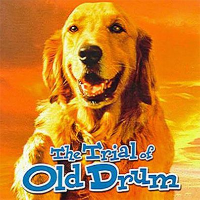 Old Drum; famous dog in movie, The Trial of Old Drum