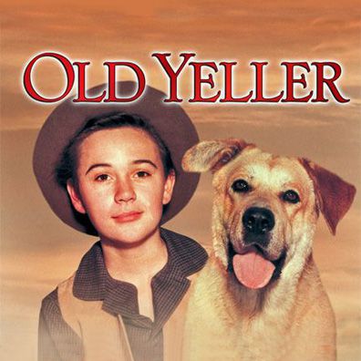 Old Yeller; famous dog in movie, book, Old Yeller