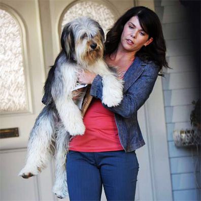 Paul Anka; famous dog in TV, Gilmore Girls